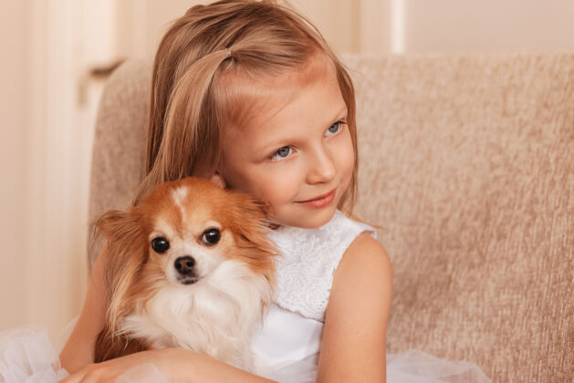天使一个可爱的小女孩抱着一只吉娃娃狗女孩年轻人狗
