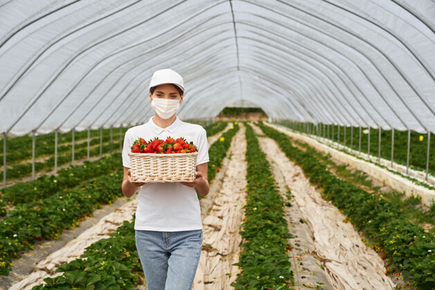 高加索手拿篮子在草莓种植园摆姿势的女人种植持有食物