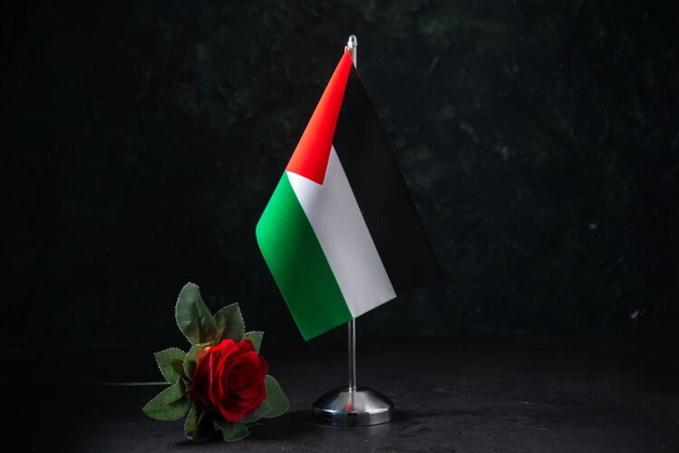 黑暗黑色上有红花的巴勒斯坦国旗正面图旗战争死亡