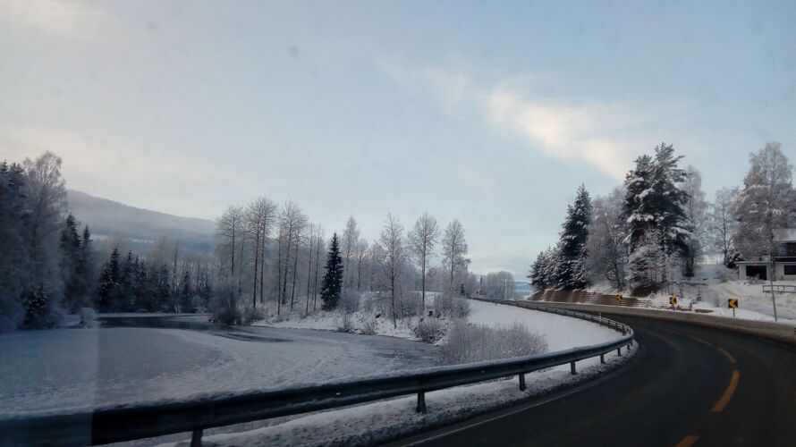 冰道路被白雪覆盖的树木包围霜冻人行道冰冻