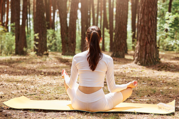 美丽后视图：扎着马尾辫的女士穿着紧身运动服 以莲花的姿势坐在运动垫上练习瑜伽 在森林里冥想 做运动后视图夏天活动