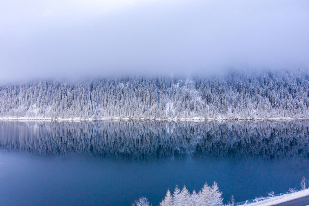 雪美丽的白雪覆盖的树木和雾天下平静的湖泊的壮丽景色景观天空寒冷