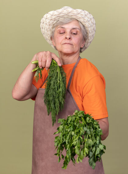 园艺自信的上了年纪的女园丁戴着园艺帽 手里拿着一束香菜和莳萝信心花园莳萝