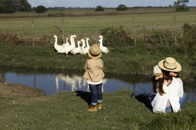 农场全镜头孩子看鹅乡村生活全镜头