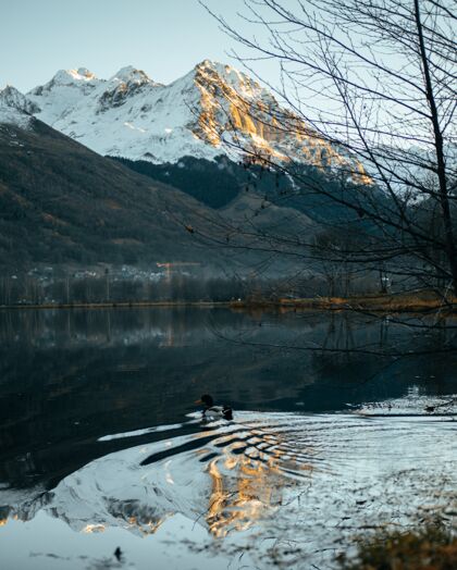 山风景垂直的湖上有一只鸭子游泳和高山阿尔卑斯山徒步旅行公园山谷