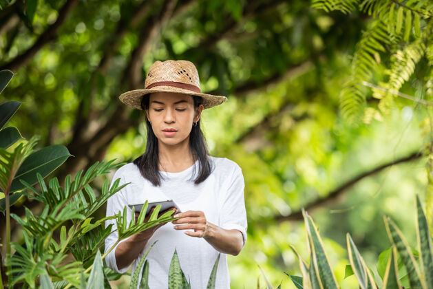 有机现代科技在园艺业年轻女子用数码板在花园中心工作环保主义者用数码板妇女在户外园艺在夏季自然农业围裙树木