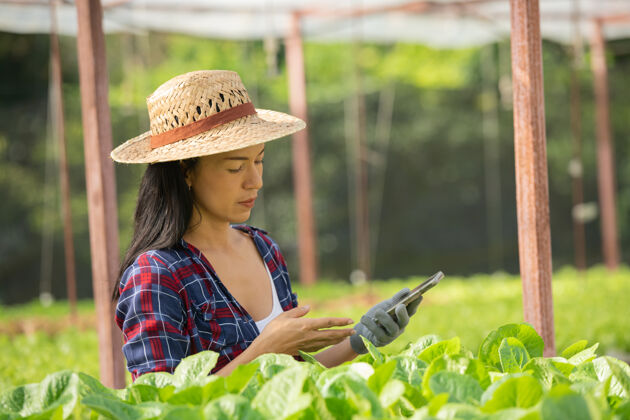 电话亚洲女农场主在蔬菜水培农场使用移动设备工作 心情愉快女农场主微笑着在温室农场检查蔬菜沙拉质量的照片健康种植田地
