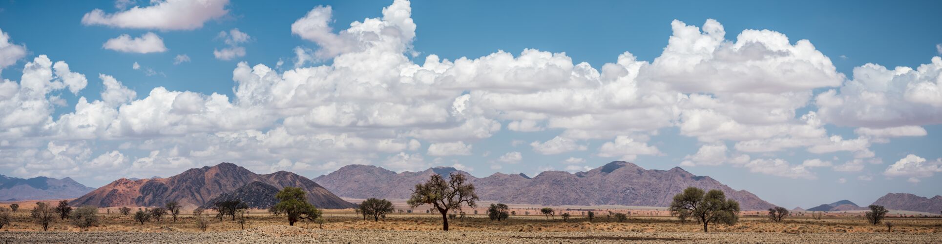 狩猎纳米比亚纳米布沙漠全景太阳岩石干燥