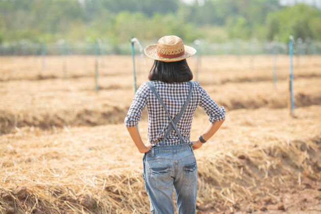 食物亚洲年轻的女农民戴着帽子站在田里 走在田里的妇女来视察农业园植物生长概念生态 运输 清洁空气 食品 生物制品田野教育肖像