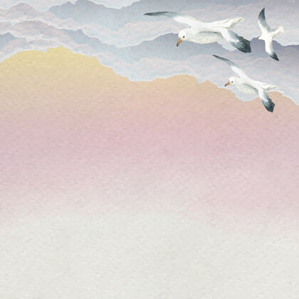 海水彩海鸥在天空中飞翔的背景日出海洋生物苍蝇