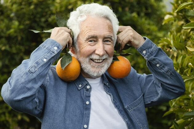 水果收割橘子树的老人美味自然农产品