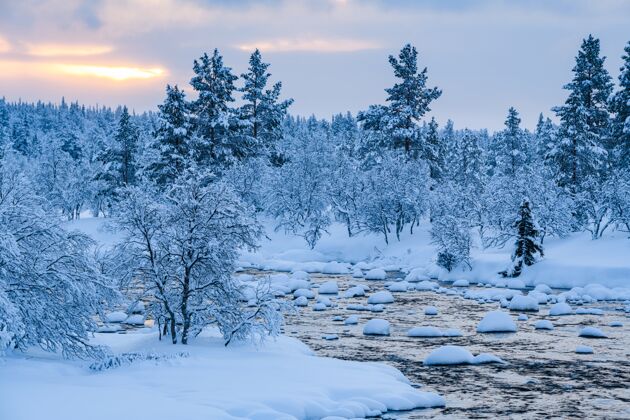河这条河上有雪 附近的森林冬天在瑞典被雪覆盖冷冬天雪