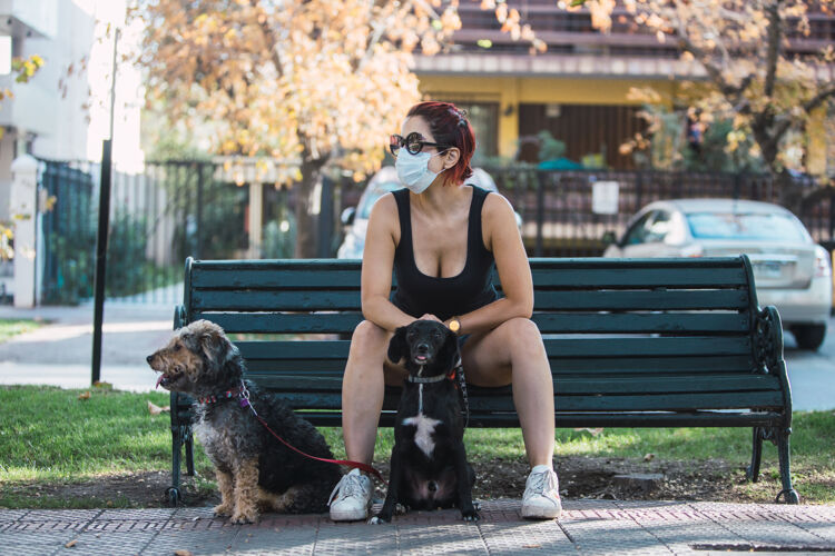 狗一个戴着面具的女人和狗坐在长凳上的选择性聚焦镜头女士走路可爱