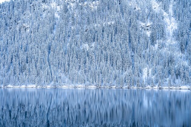 天美丽的镜头平静的湖泊与森林覆盖着雪山自然雪湖