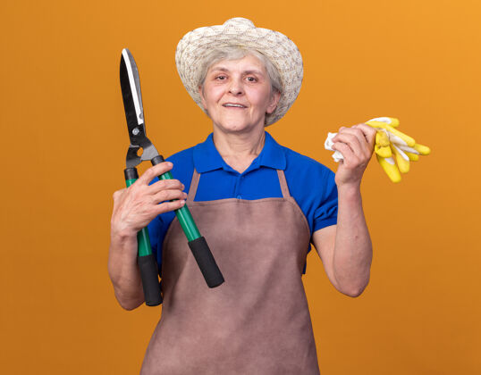 园艺高兴的上了年纪的女园丁戴着园艺帽拿着园艺剪刀和手套上了橘子花园剪刀老人