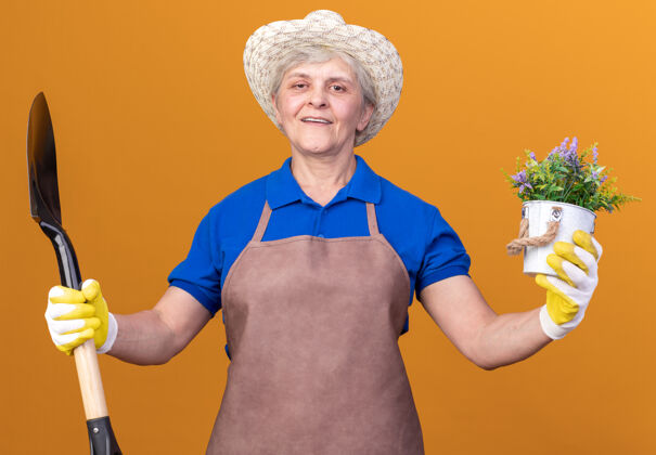 花园微笑的上了年纪的女园丁戴着园艺帽和手套 手里拿着铲子和桔子上的花盆老人女园艺