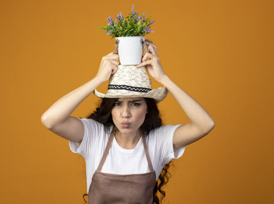 园艺穿着制服 戴着园艺帽的年轻女园丁把花盆举过头顶 隔离在橙色的墙上 留有复制空间头拿着年轻