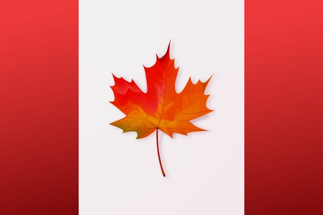 现实现实加拿大日插图活动枫叶爱国