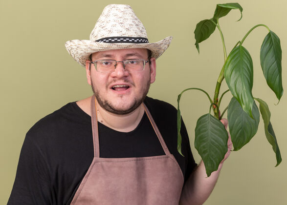 穿高兴的年轻男园丁戴着园艺帽 把植物隔离在橄榄绿的墙上男性持有园艺