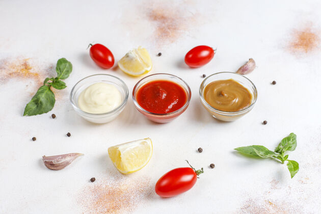 盐自制番茄酱 芥末和蛋黄酱健康配料油