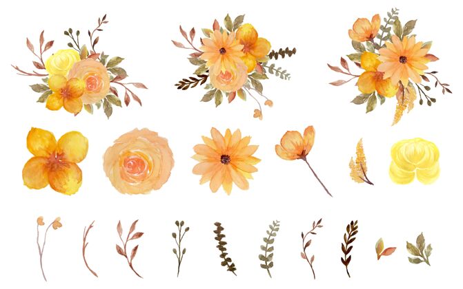 设置华丽的黄色和棕色个人水彩花卉收藏花卉装饰开花