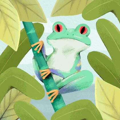 动物手绘水彩青蛙插图手绘野生动物自然