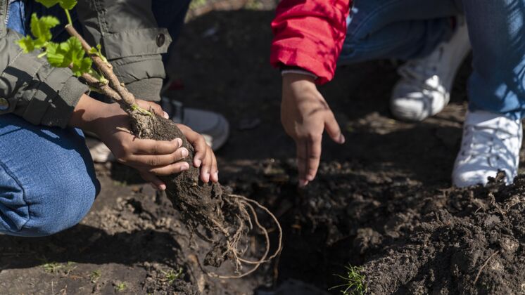 工具孩子们学习如何种树土壤蔬菜有机