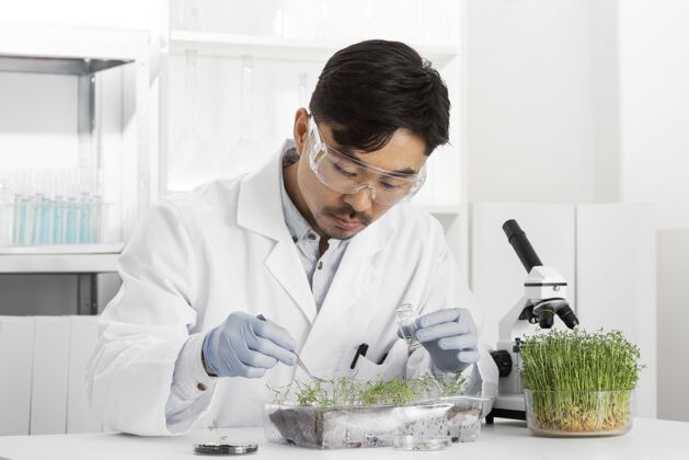实验在实验室做芽苗菜实验的人男性设备芽苗菜