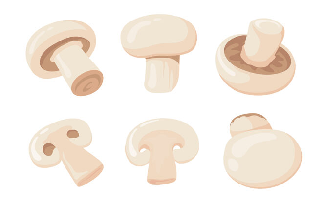 收集蘑菇的卡通插图切片一半烹饪