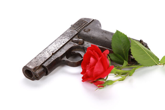 头一支枪和一朵红玫瑰的特写镜头被隔离在白色背景上芽花玫瑰