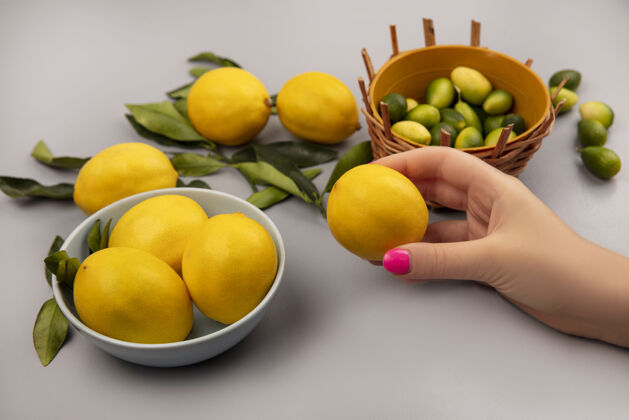 厨房顶视图中的女性手拿着一个新鲜的黄色柠檬和柠檬放在一个碗里 叶子和柠檬被隔离在白色的墙上柠檬视图碗