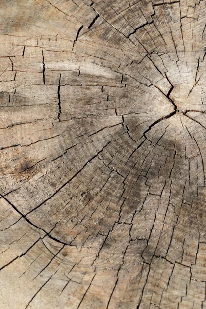 背景特写木材纹理背景木头背景特写木头