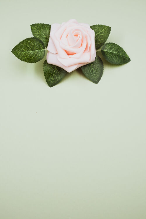 花绿色表面的粉红色人造玫瑰自然花表面