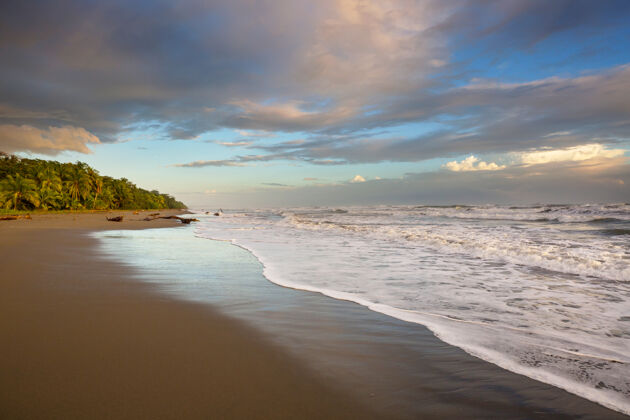 海岸哥斯达黎加美丽的热带太平洋海岸蓝色树中美洲