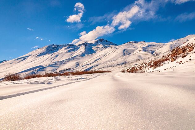 树美丽的低角度拍摄的一个惊人的山区景色覆盖在雪地安第斯山脉科迪勒拉景观徒步旅行冰
