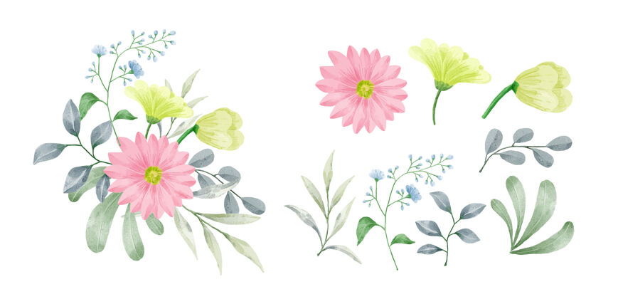 艺术家一套用水彩画的花花卉开花装饰