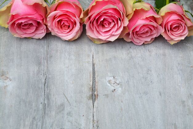 花朵美丽的粉红色玫瑰在木头表面粉色花浪漫