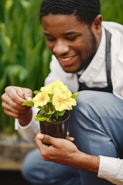 帅哥围裙里的园丁温室里的非洲男人花盆里的花休闲围裙非洲