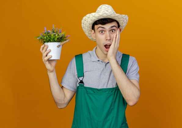 花园震惊的年轻男园丁戴着园艺帽 手持花盆 把手放在脸上男性橘子复制