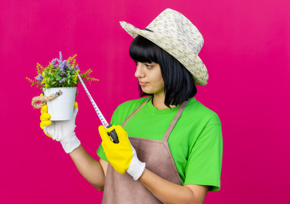 穿自信的年轻女园丁穿着制服戴着园艺帽测量花盆与卷尺隔离在粉红色背景与复制空间花盆制服年轻