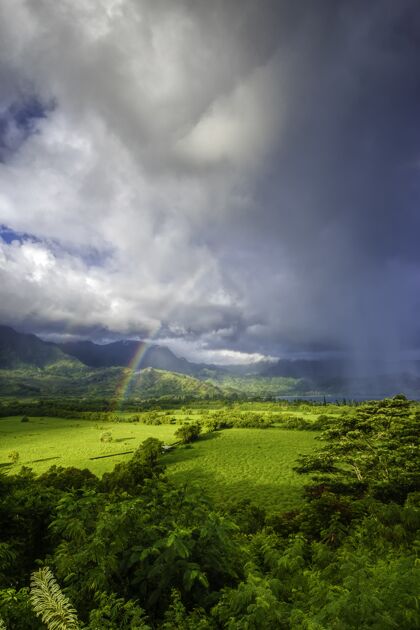 风暴绿草如茵的美丽风景 在暴风雨中彩虹的壮丽景色草地地平线环境