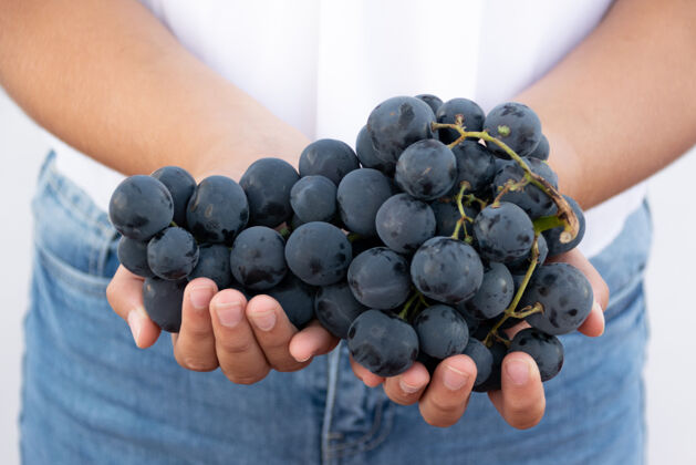 持有特写镜头：一个男人的手拿着一束白底熟葡萄新鲜浆果自然