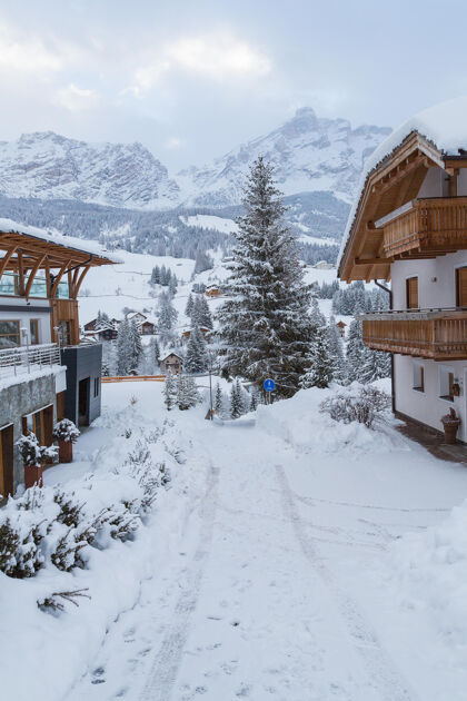 雪一个美丽的冬日垂直拍摄自然酒店小径