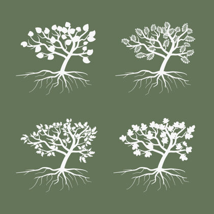 树干简单的树环境符号树插图集收集艺术轮廓树与树叶树自然树叶
