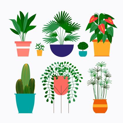 平面设计有机平面室内植物系列分类套装植物