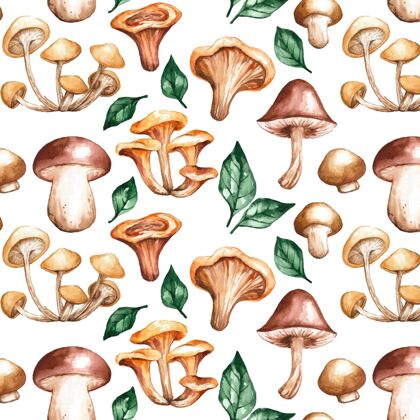 壁纸手绘水彩蘑菇图案蘑菇设计装饰品