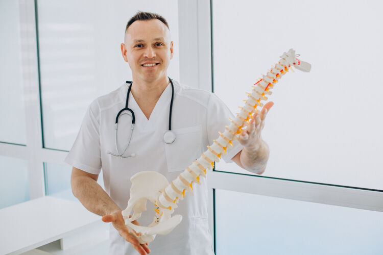 工作脊椎理疗师拿着人造脊柱骨科指点手术