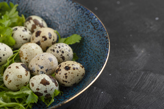 新鲜新鲜生鹌鹑蛋和欧芹叶放在黑色的盘子里食品欧芹生的