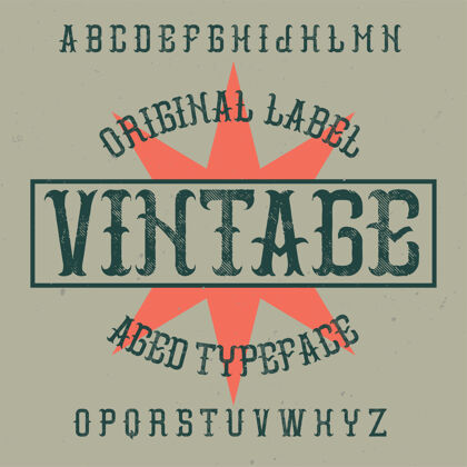 类型Vintage标签字体名为Vintage排版衬线字母表