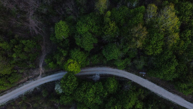 无人机空中拍摄了一片茂密的森林 绿树成荫 道路绿意盎然季节高度景观
